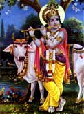 Shri Krishna